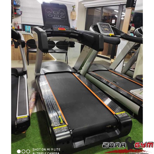 CAMINADORA PROFESIONAL 3 HP 7 HP -  BANDA ALEMANA